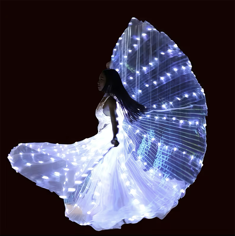 Capa de luces led tipo Alas